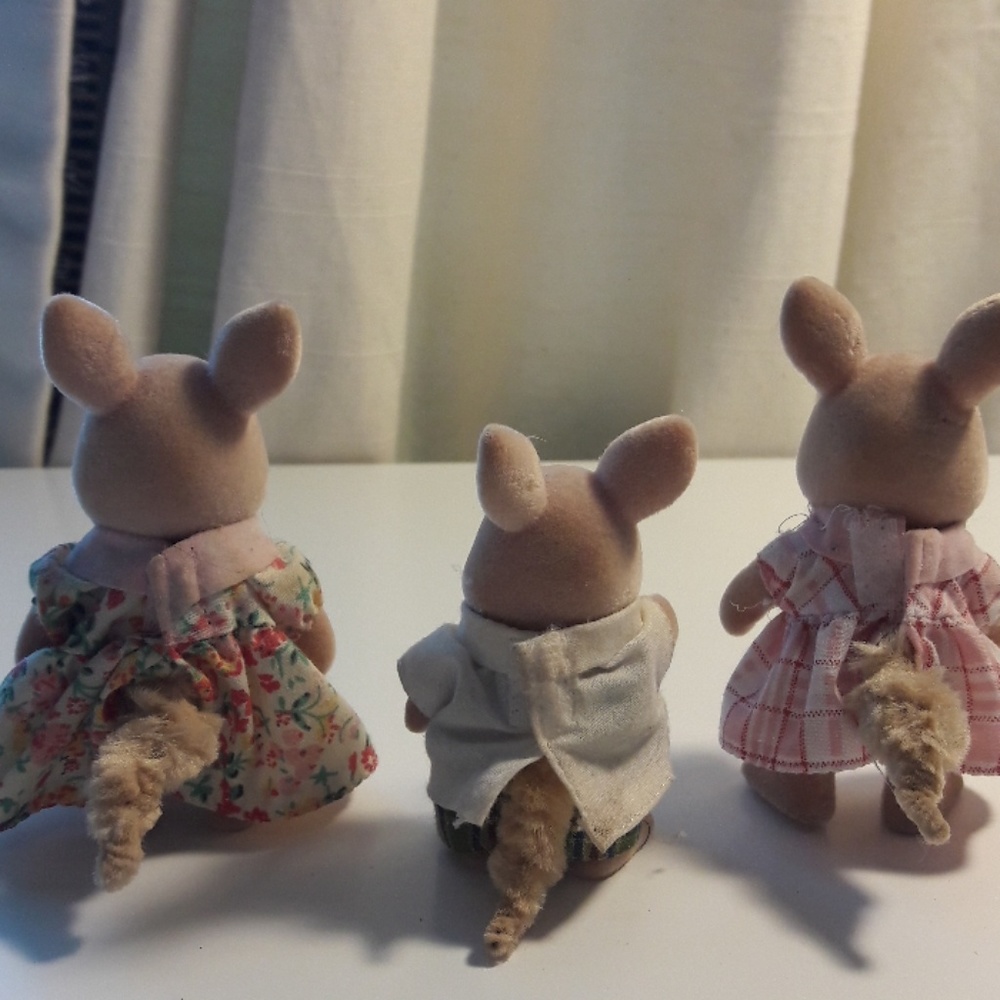 kangaroo pets - Picture 2 of 2